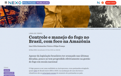 Houve avanço nas políticas para o manejo de fogo no Brasil?