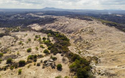 Semiárido e as mudanças climáticas