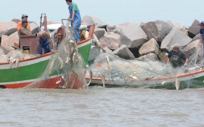 Mudanças Climáticas afetarão a pesca no estuário da Lagoa dos Patos (RS)