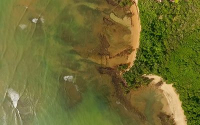 Aumento da temperatura do oceano afeta ecossistemas na Costa das Algas (ES) 