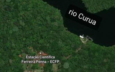 Pesquisa monitora consequências das mudanças climáticas em floresta tropical chuvosa