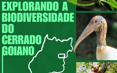 Pelds CEMA, EBMN e EMAS promovem workshop sobre a biodiversidade do Cerrado