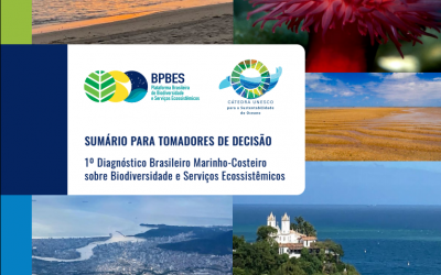 Pesquisadores defendem criação de bioma marinho no Brasil