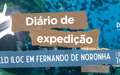 Inicia a Expedição em Fernando de Noronha; Confira vídeo 