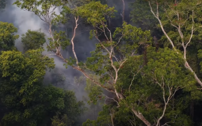 Documentário “Heróis do Fogo” retrata a luta dos brigadistas na Amazônia