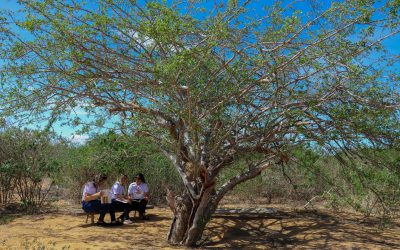 PELD RIPA lança aplicativo Reserva do Olho d’Água das Onças